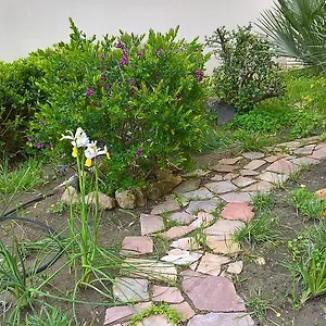 Tulipano Alguer